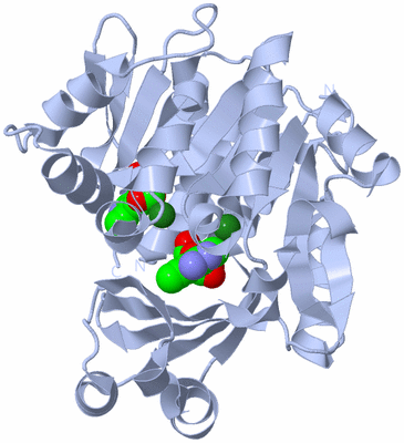 Image Biological Unit 2