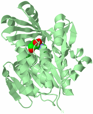 Image Biological Unit 3