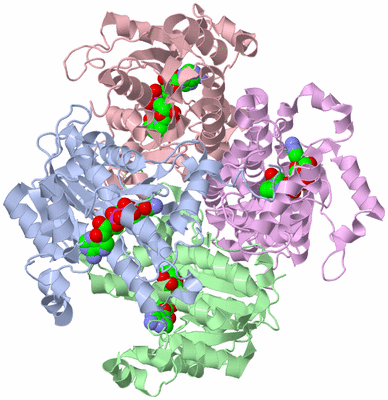 Image Biological Unit 1