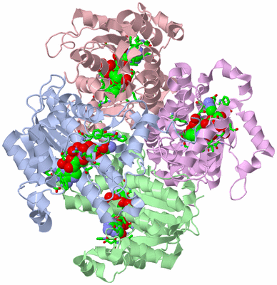 Image Biol. Unit 1 - sites