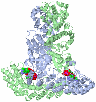 Image Biological Unit 1