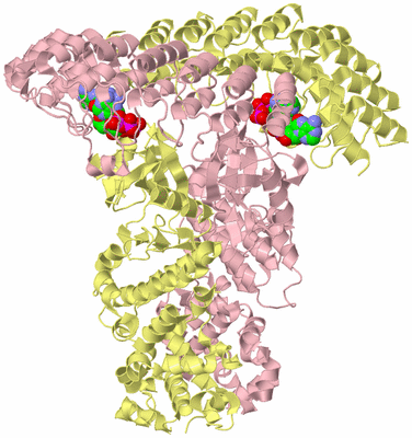 Image Biological Unit 2