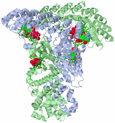 Image Biol. Unit 1 - sites