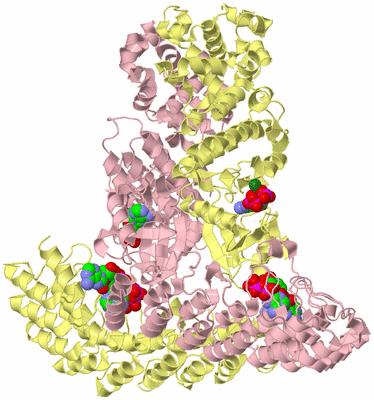 Image Biological Unit 2