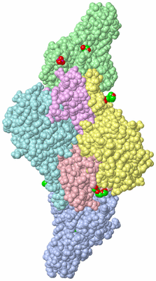 Image Asym./Biol. Unit