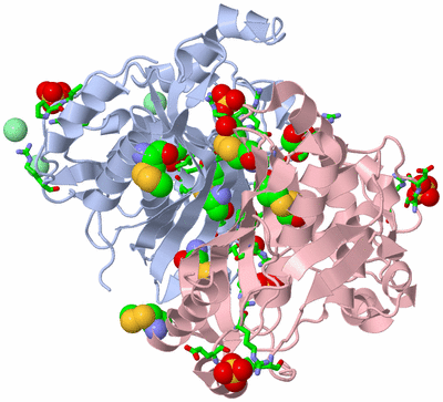 Image Biol. Unit 1 - sites