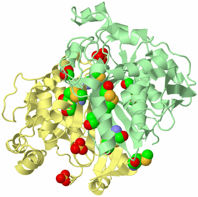 Image Biological Unit 2