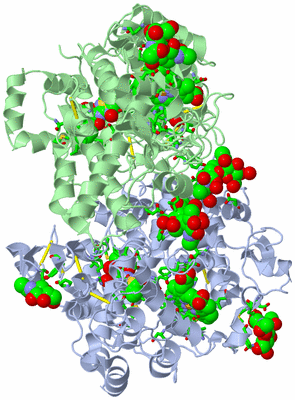 Image Asym./Biol. Unit - sites