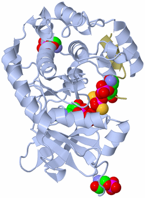 Image Asym./Biol. Unit