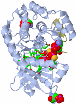 Image Asym./Biol. Unit - sites