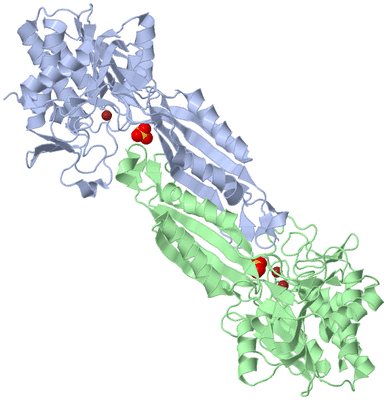 Image Asym./Biol. Unit