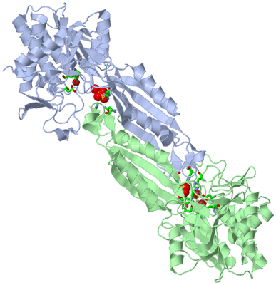 Image Asym./Biol. Unit - sites