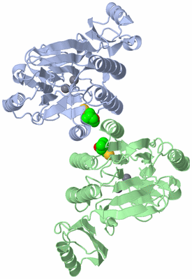 Image Asym./Biol. Unit