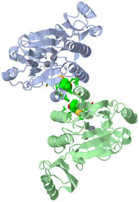 Image Asym./Biol. Unit - sites