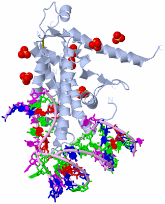 Image Biological Unit 1