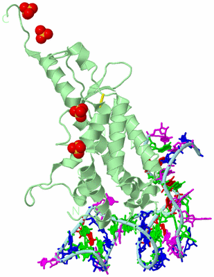 Image Biological Unit 2