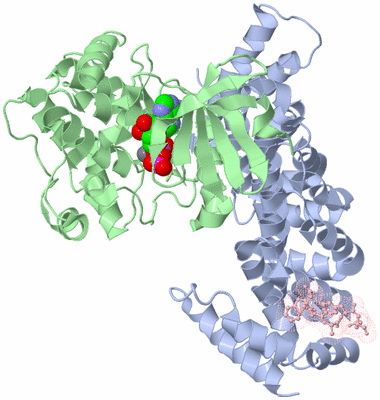 Image Asym./Biol. Unit