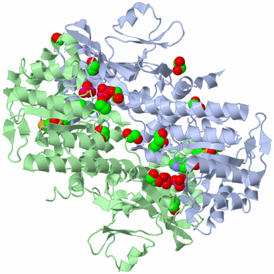 Image Asym./Biol. Unit