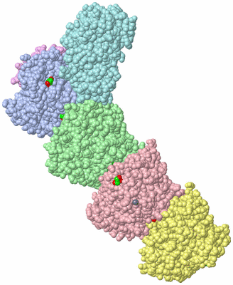 Image Asym./Biol. Unit