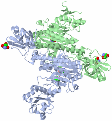 Image Asym./Biol. Unit