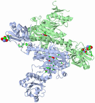 Image Asym./Biol. Unit - sites