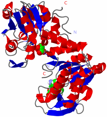 Image Asym./Biol. Unit