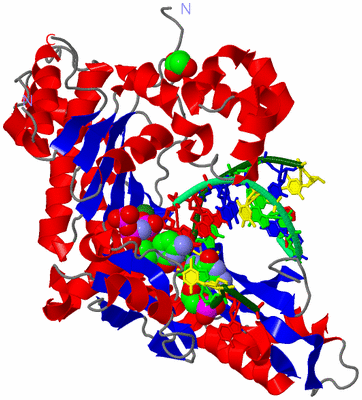 Image Asym./Biol. Unit