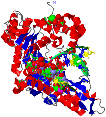 Image Asym./Biol. Unit - sites