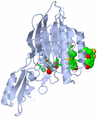 Image Biol. Unit 1 - sites