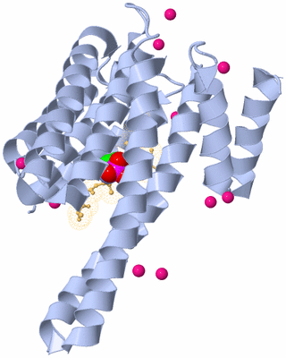 Image Biological Unit 1