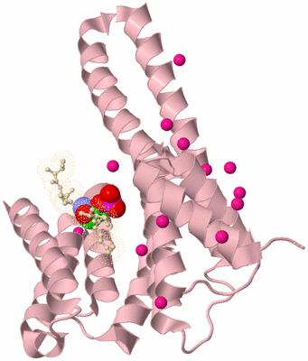 Image Biological Unit 3