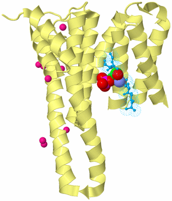 Image Biological Unit 4