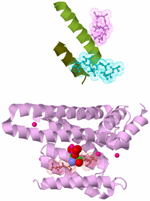 Image Biological Unit 5