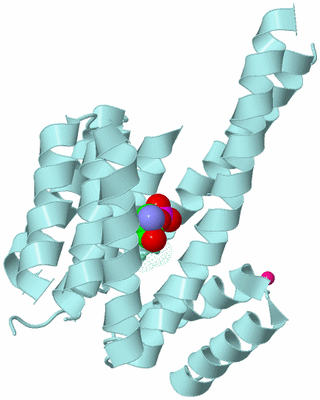 Image Biological Unit 6