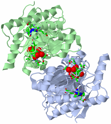 Image Asym./Biol. Unit - sites