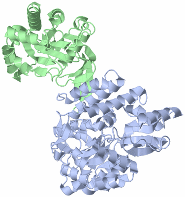 Image Asym./Biol. Unit