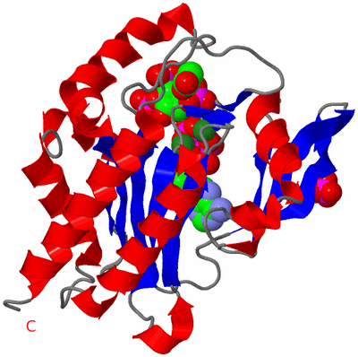 Image Asym./Biol. Unit