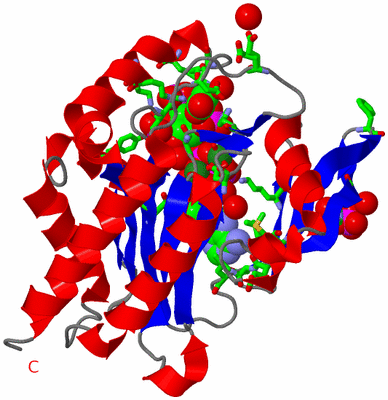 Image Asym./Biol. Unit - sites