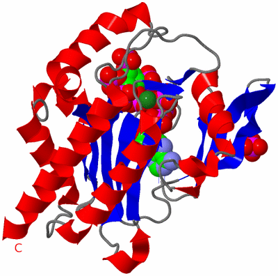 Image Asym./Biol. Unit