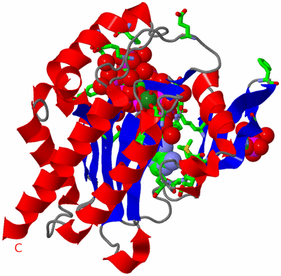 Image Asym./Biol. Unit - sites