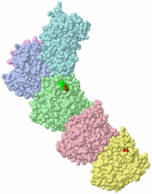 Image Asym./Biol. Unit