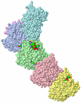 Image Asym./Biol. Unit - sites