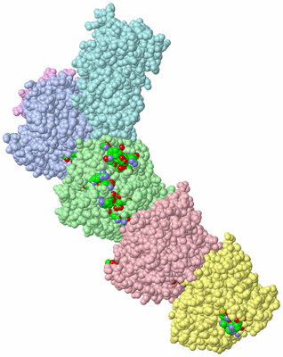 Image Asym./Biol. Unit - sites