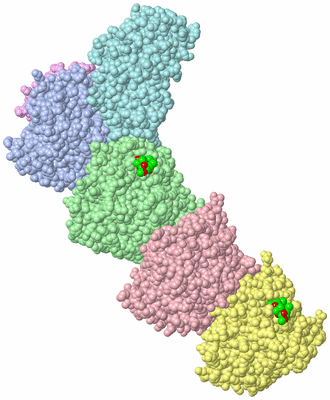 Image Asym./Biol. Unit