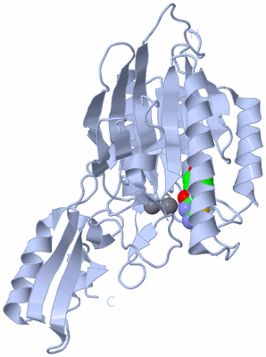 Image Biological Unit 1