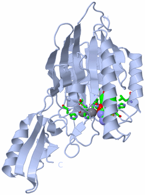 Image Biol. Unit 1 - sites