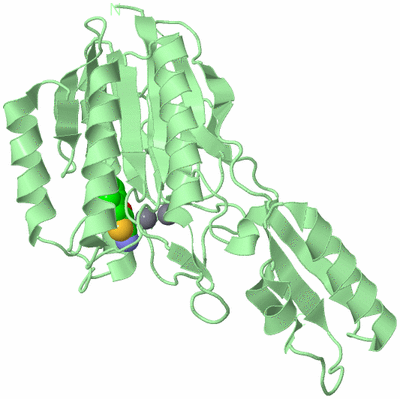 Image Biological Unit 2