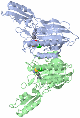 Image Biological Unit 3