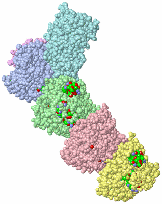 Image Asym./Biol. Unit - sites