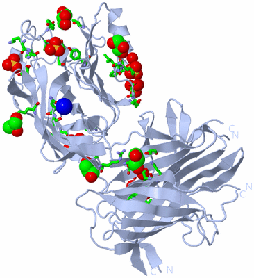 Image Biol. Unit 1 - sites